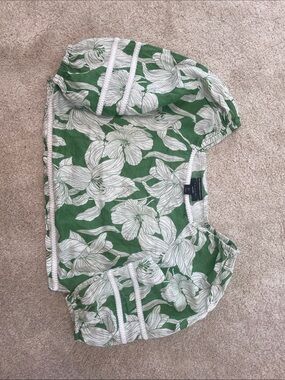 Tahari Green and White Linen Botanical Top